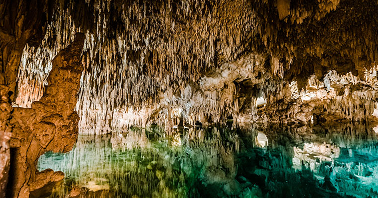 Private Cenote & Reef Snorkel 